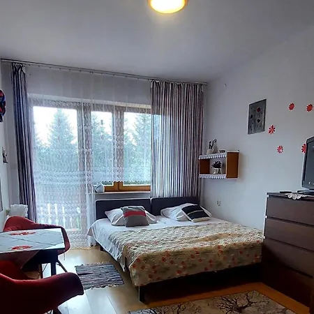 Szymusiowa Apartment