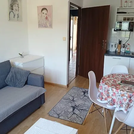 Szymusiowa Apartment
